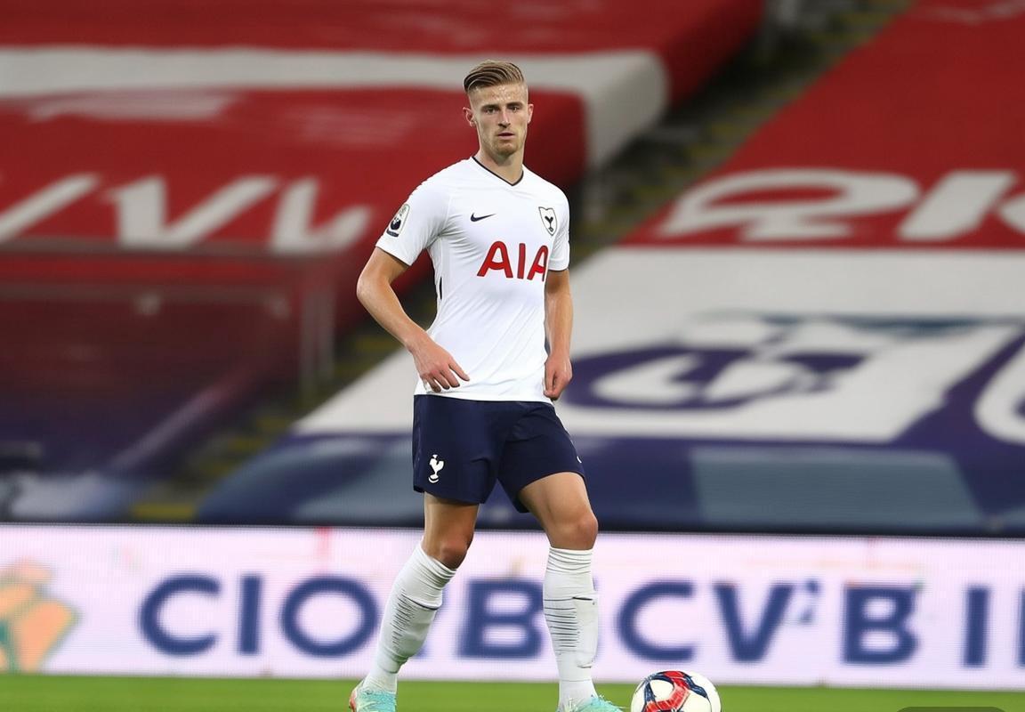 托特纳姆热刺瞄准萨格勒布迪纳摩新星，克罗地亚联赛中卫卢卡·武什科维奇成关键引援目标